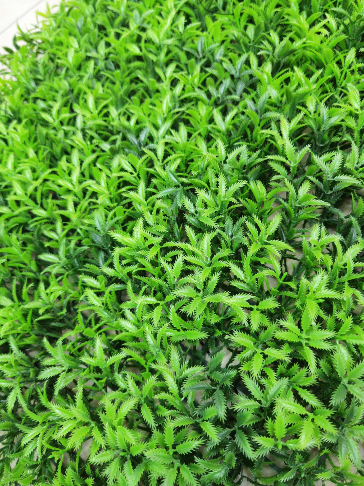 Artificial plant wall, green plant wall, plant wall, decorative wall, flower wall, background wall, interior decoration, balcony, storefront decoration, high-quality artificial grass THC Item Picture