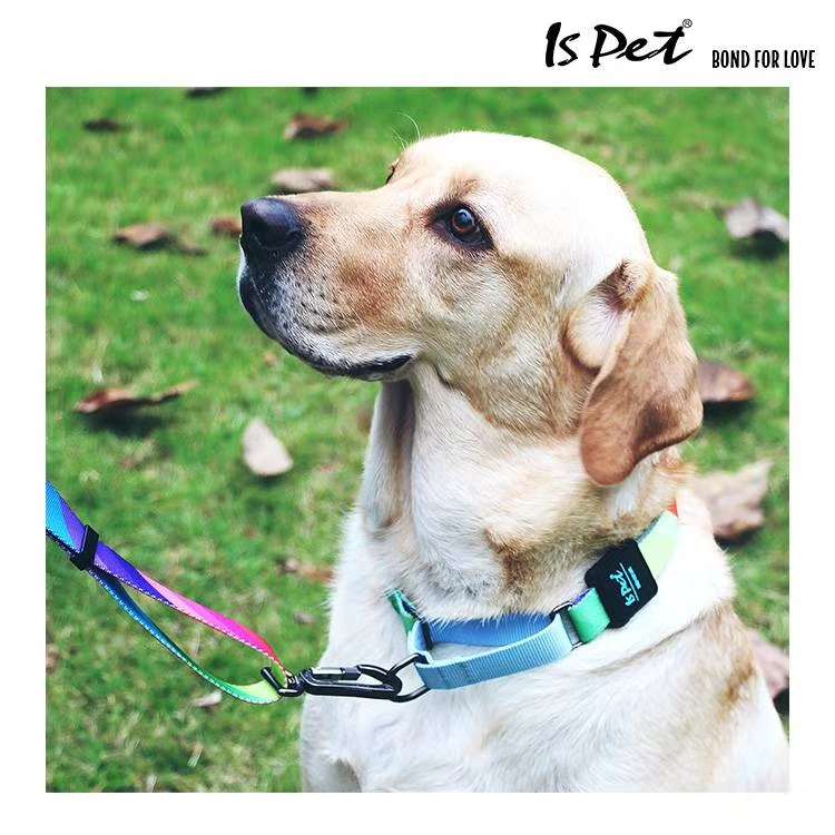 ISPET 
 bond for love 爱的牵引绳 & 织带 & 轻量化 
自由混搭，12条起批，多多益善！详情图6