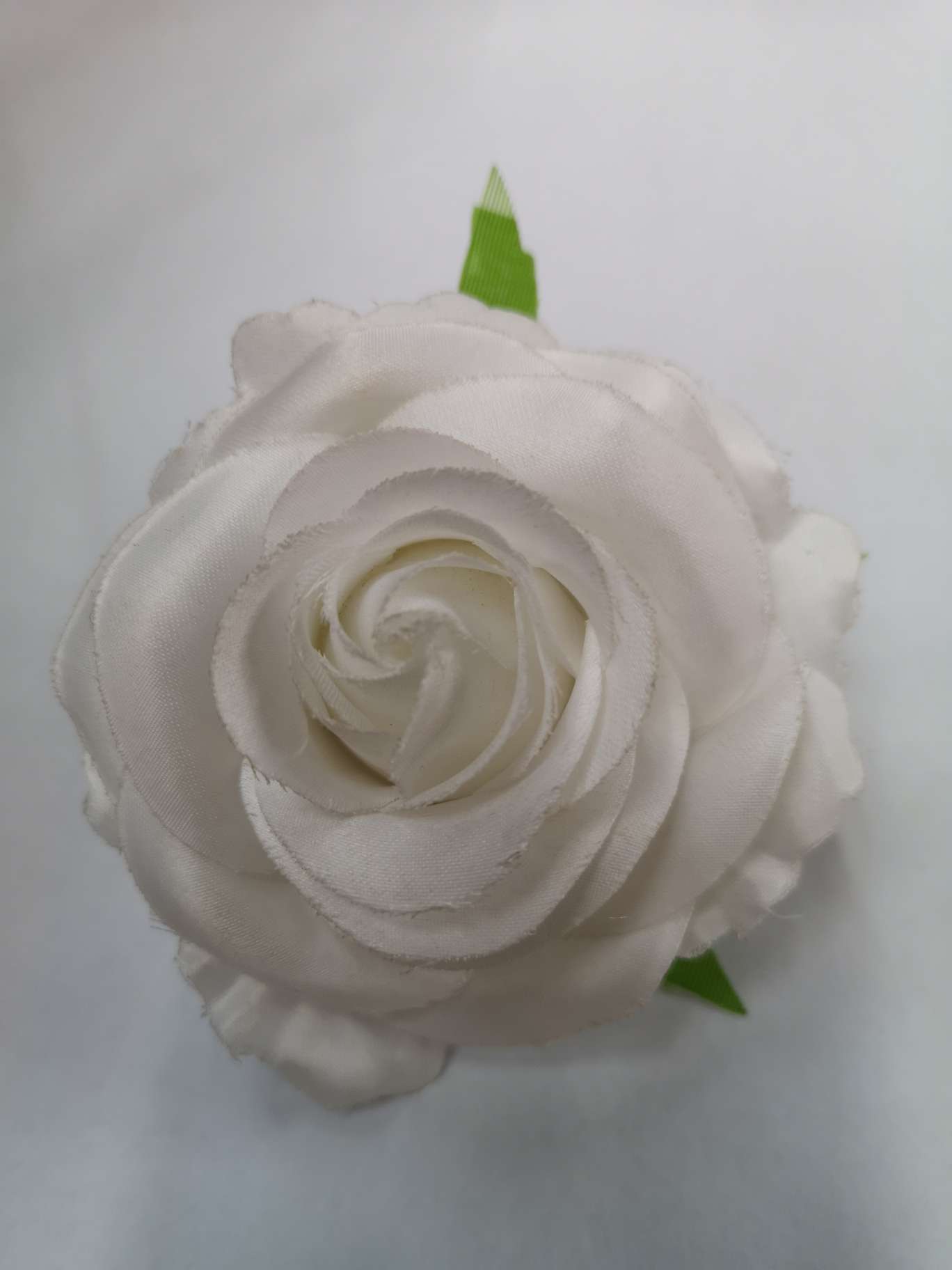 玫瑰白色