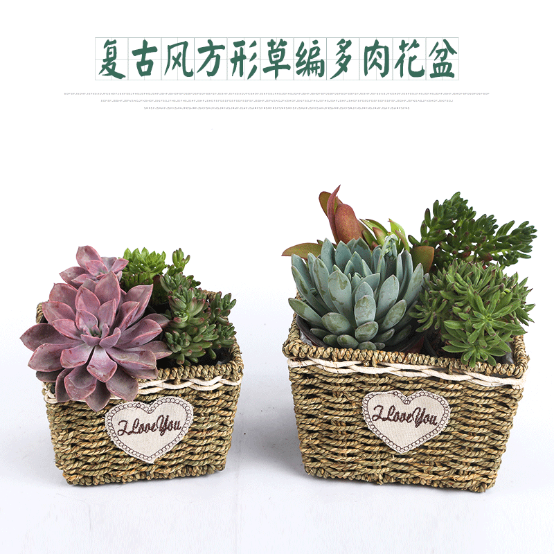 Origin Handmade Creative Willow Flower Basket Lovely Garden Wind Grass Flower Pot Furniture Decoration Woven Fleshy Vase Square Large Small Set 2 Flower Basket