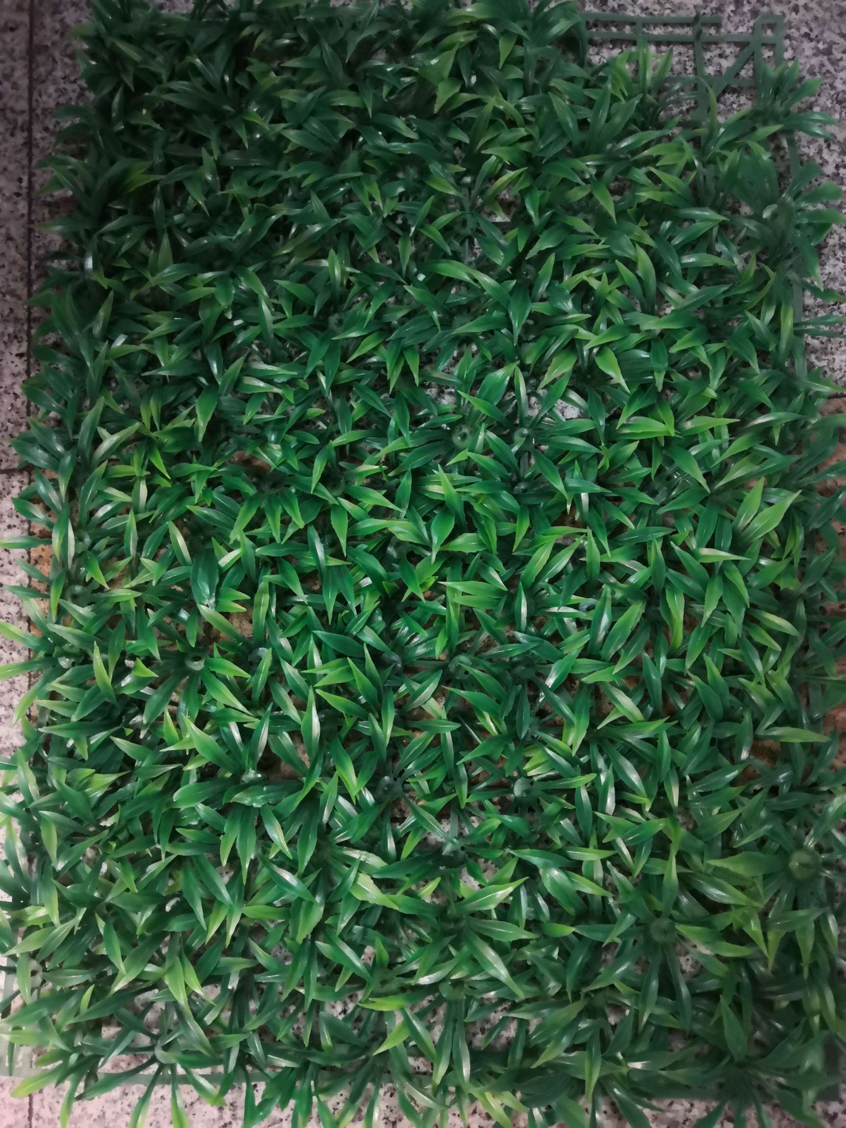 Spring grass 40 by 60 thumbnail