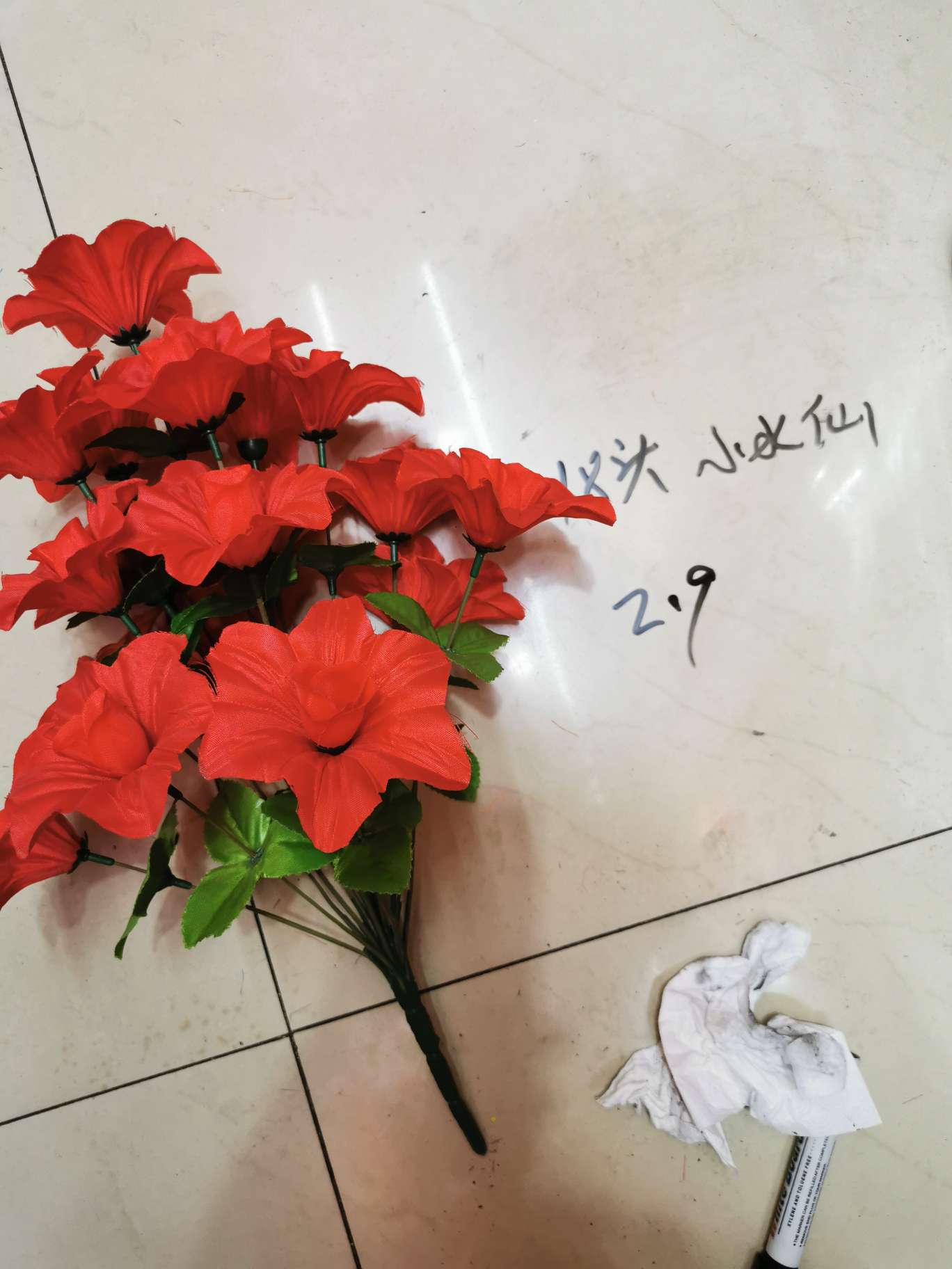 18头小水仙