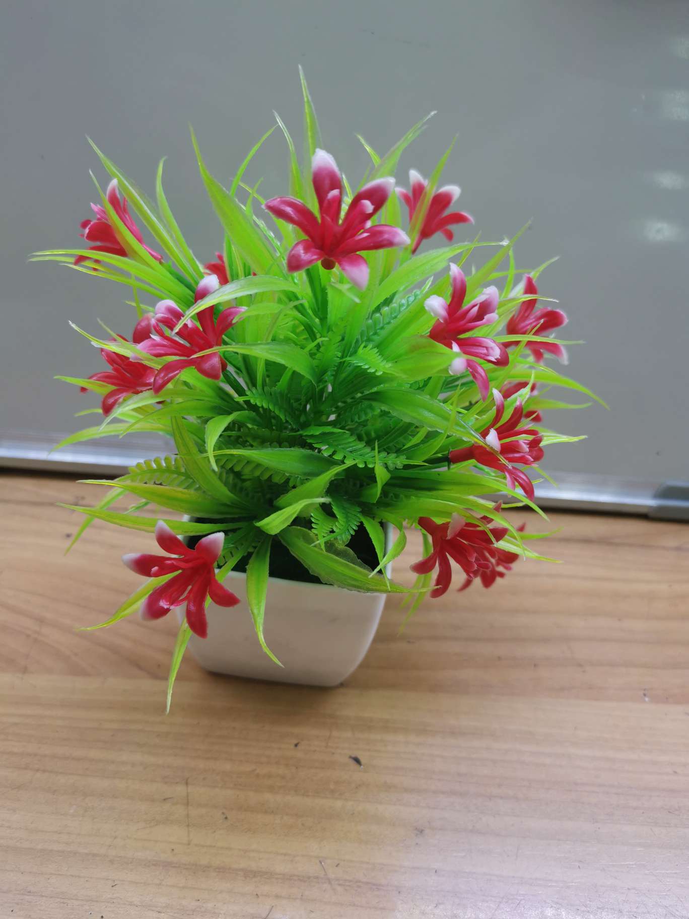 All over the sky star 01 thumbnail