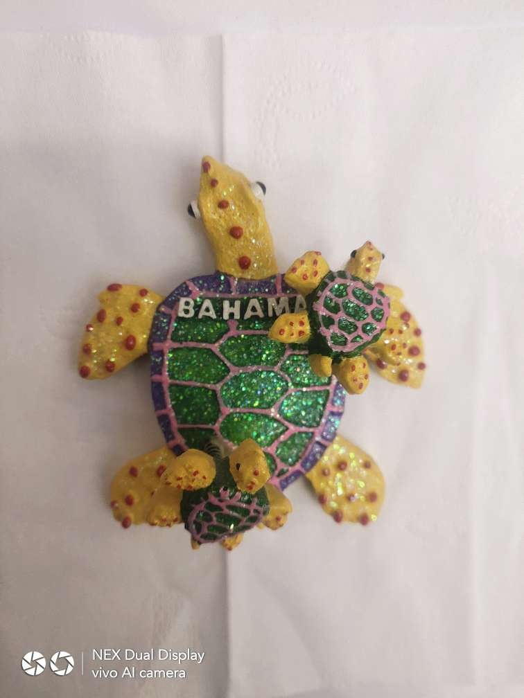 Spring turtle.
