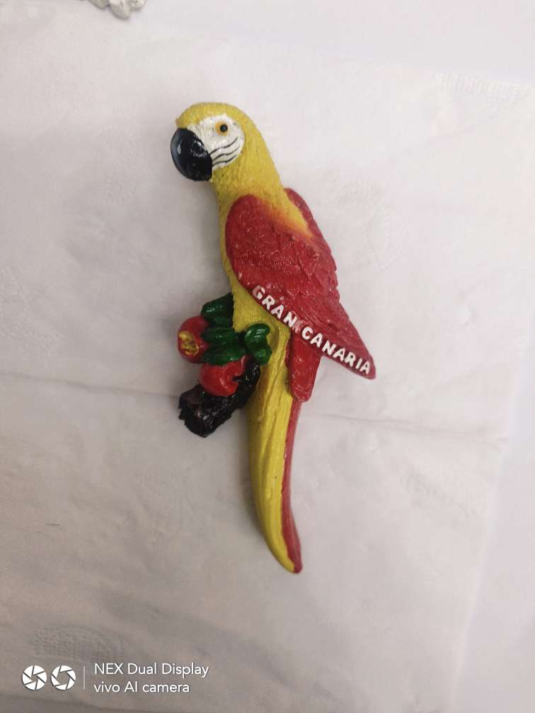Fruit parrot