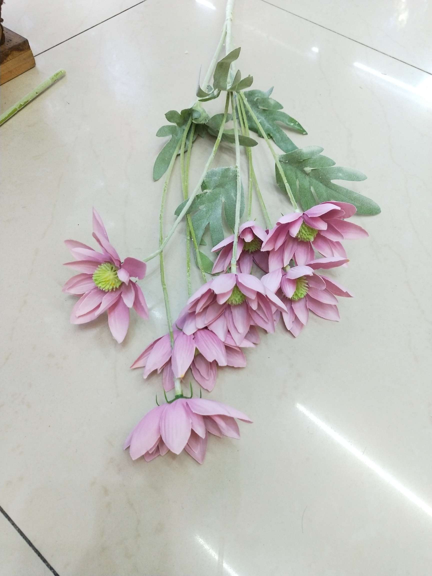雪莲花