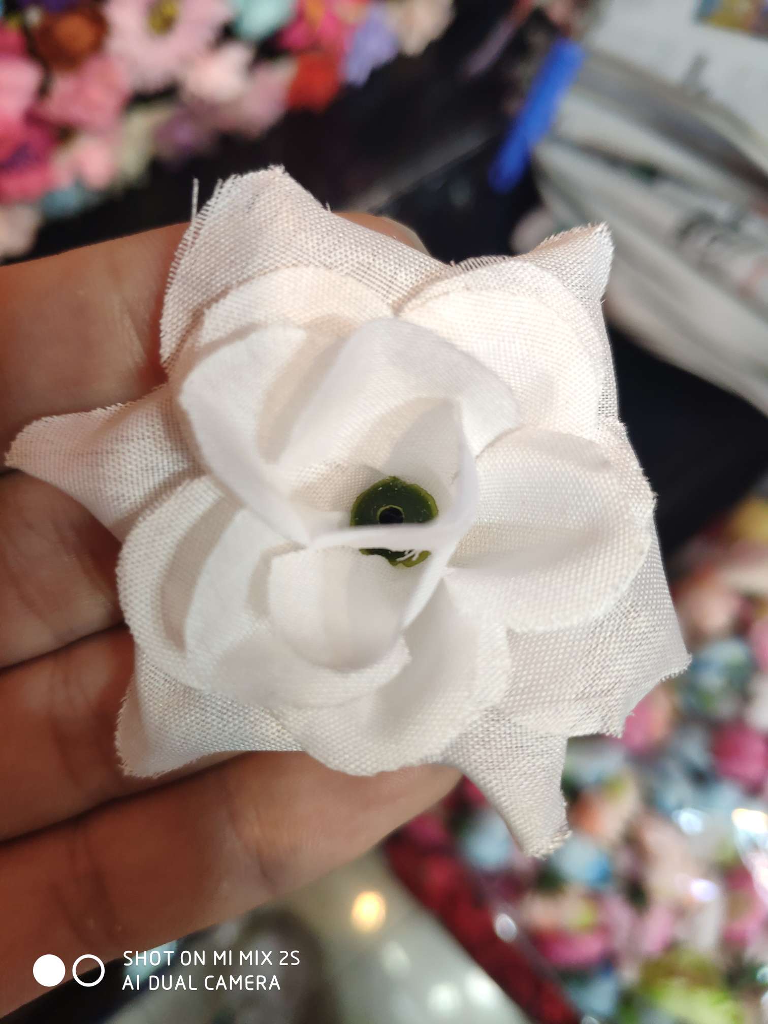 Little crimped, little rose, crimped rose thumbnail