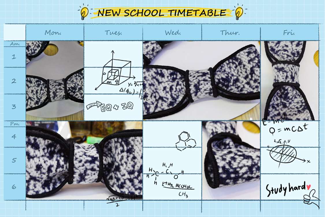 , the son of cashmere with lace headdress flower shoes clothing bags packing bows 🎀 fresh flowers thumbnail