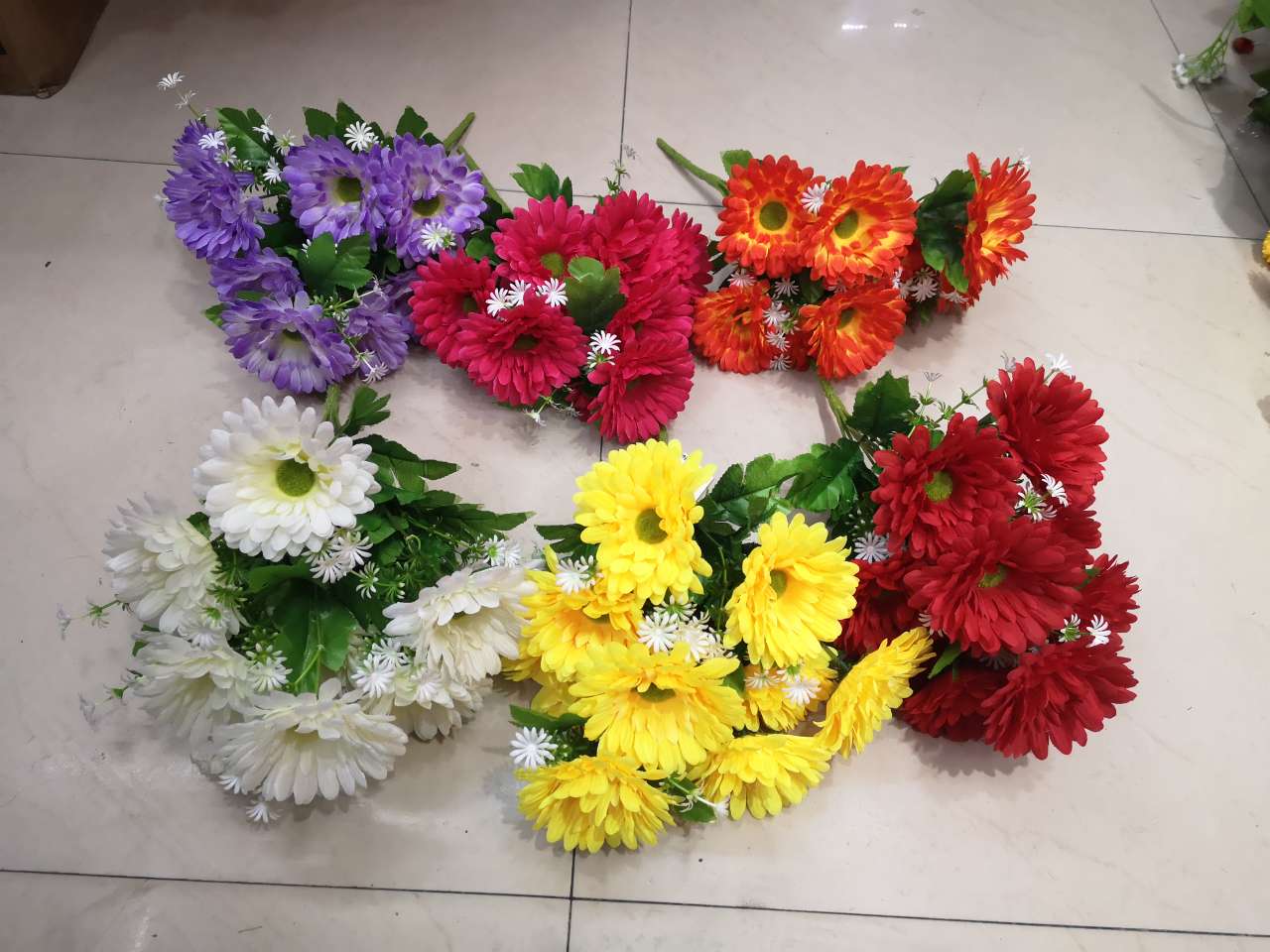 African chrysanthemum thumbnail