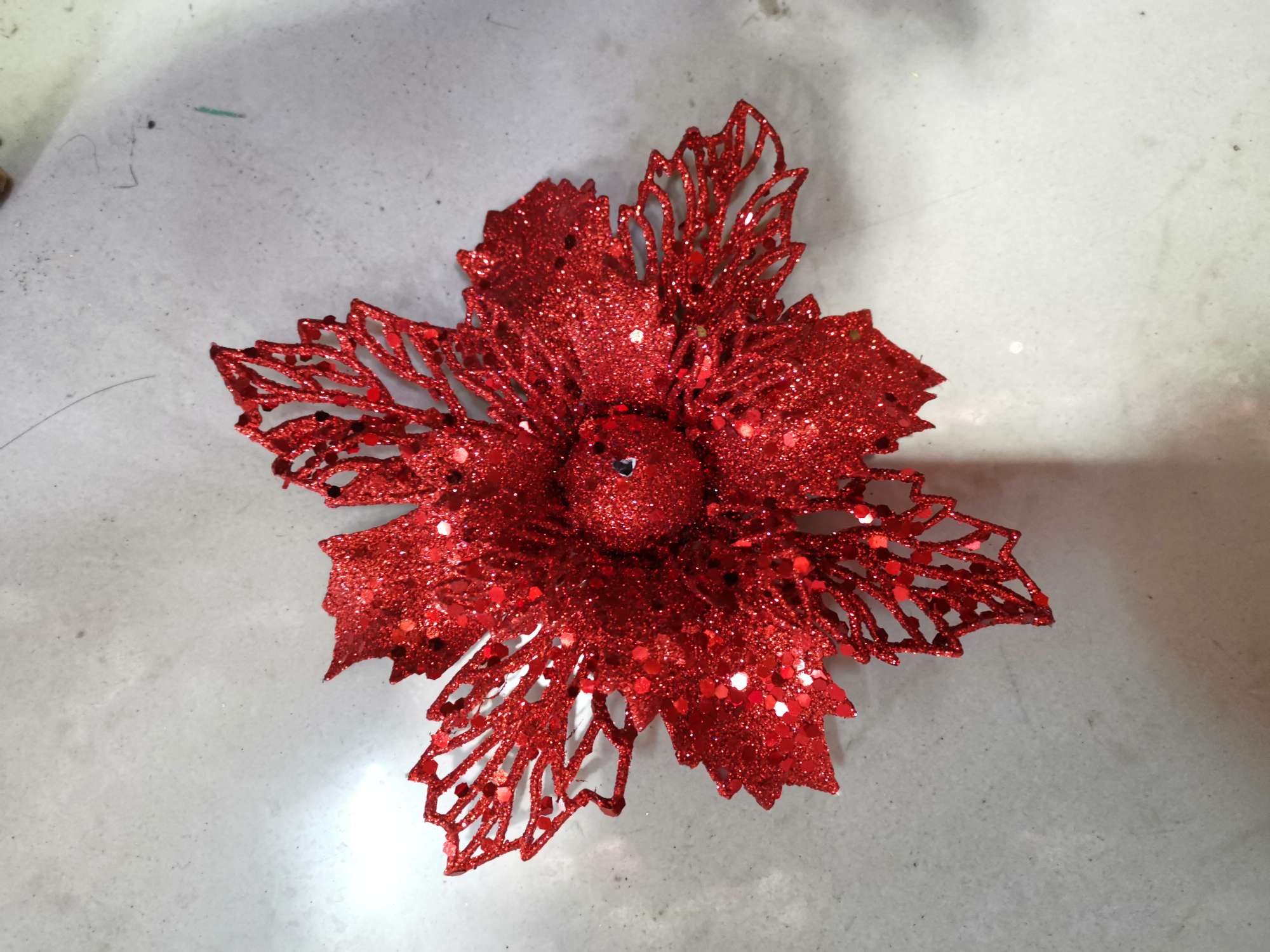 迷你红圣诞花图