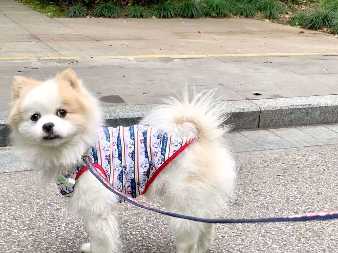 🥵炎炎夏日，衣橱里少不了清凉心透气网眼背心[嘿哈]多囤几件总是没错的[好的]详情图10