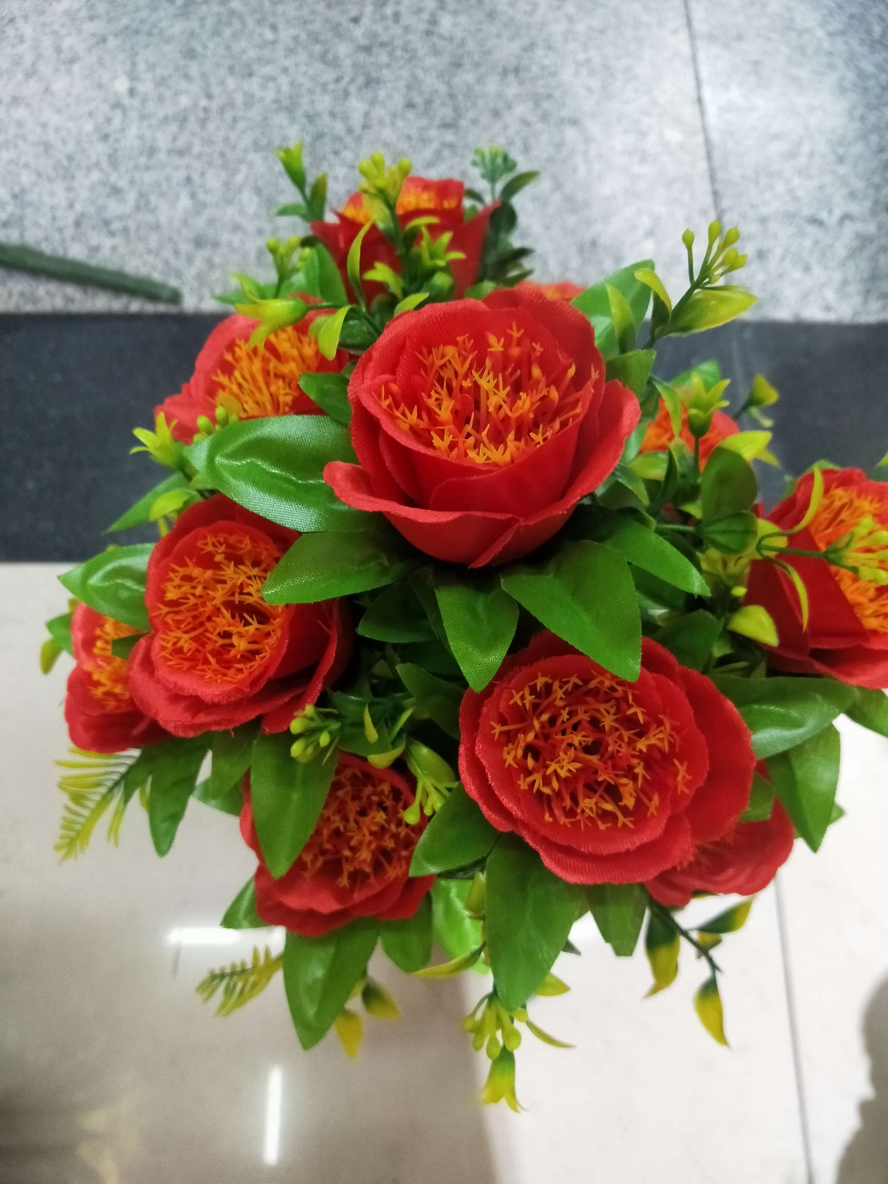 اثنا عشر طاووس ماي