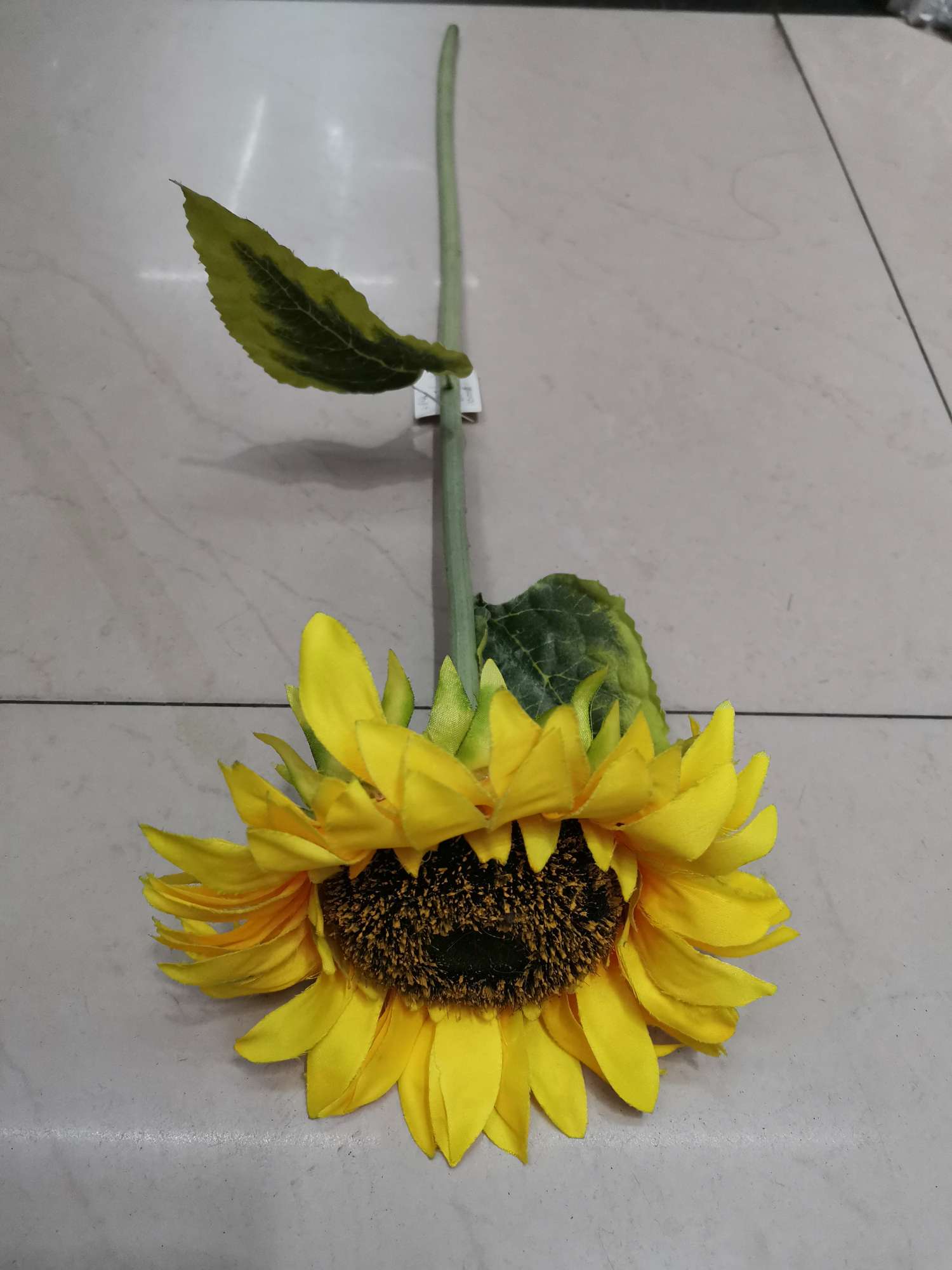 Medium sized flocking sunflower thumbnail