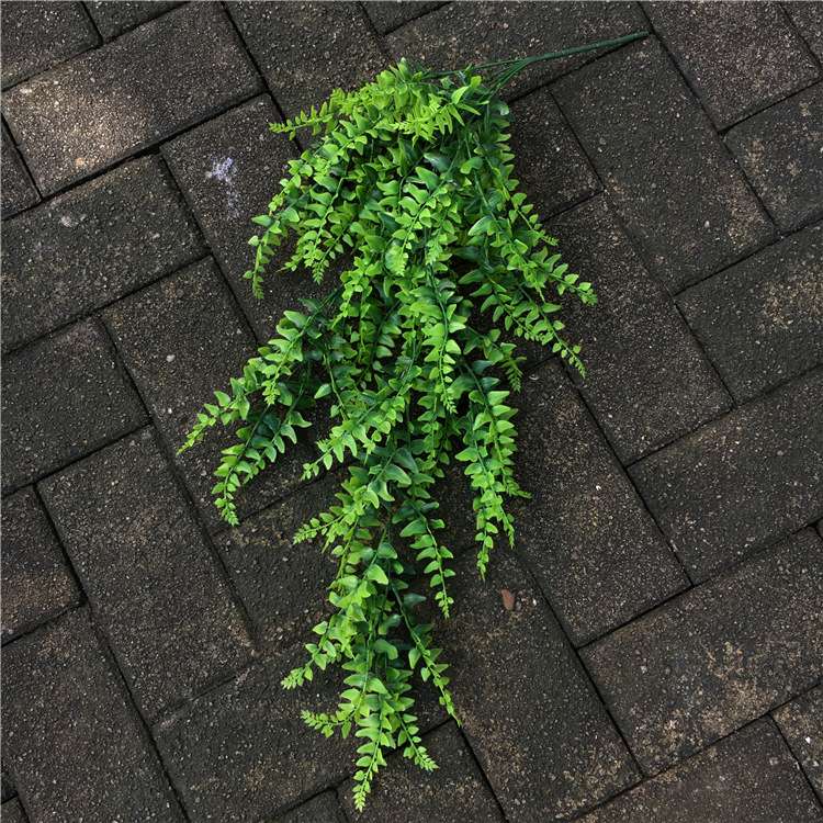 The green plant