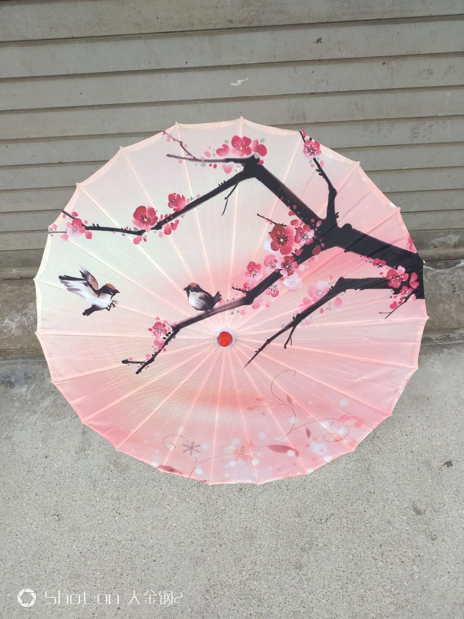 工艺伞/印花布伞/装饰伞产品图