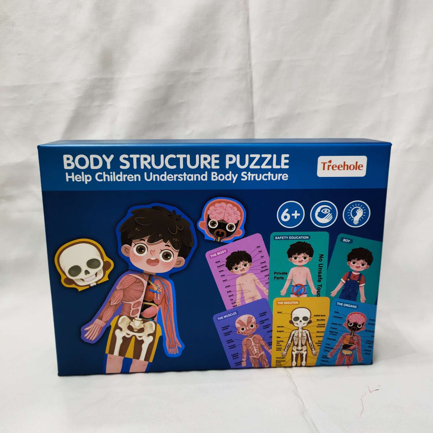 Body structure puzzle boy