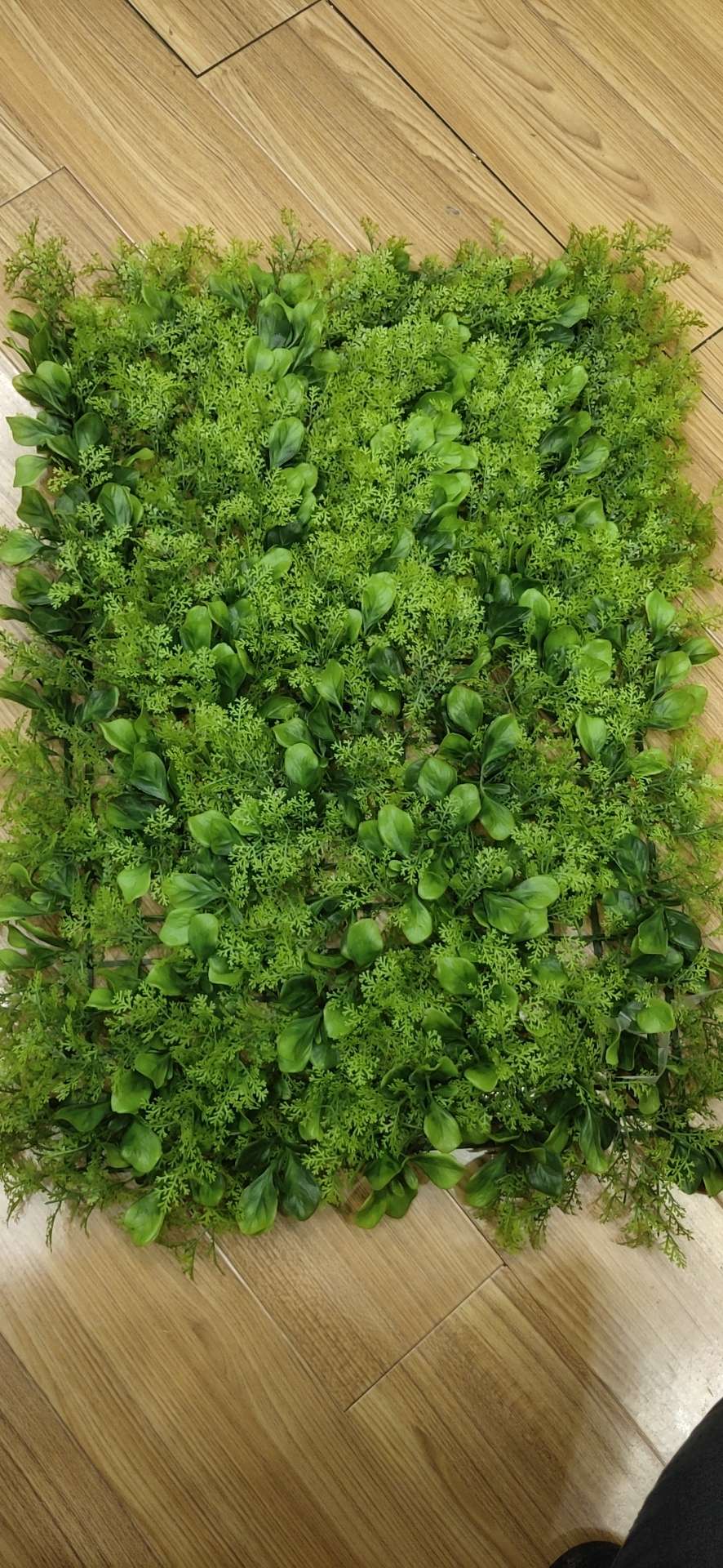 仿真草坪白菜草坪