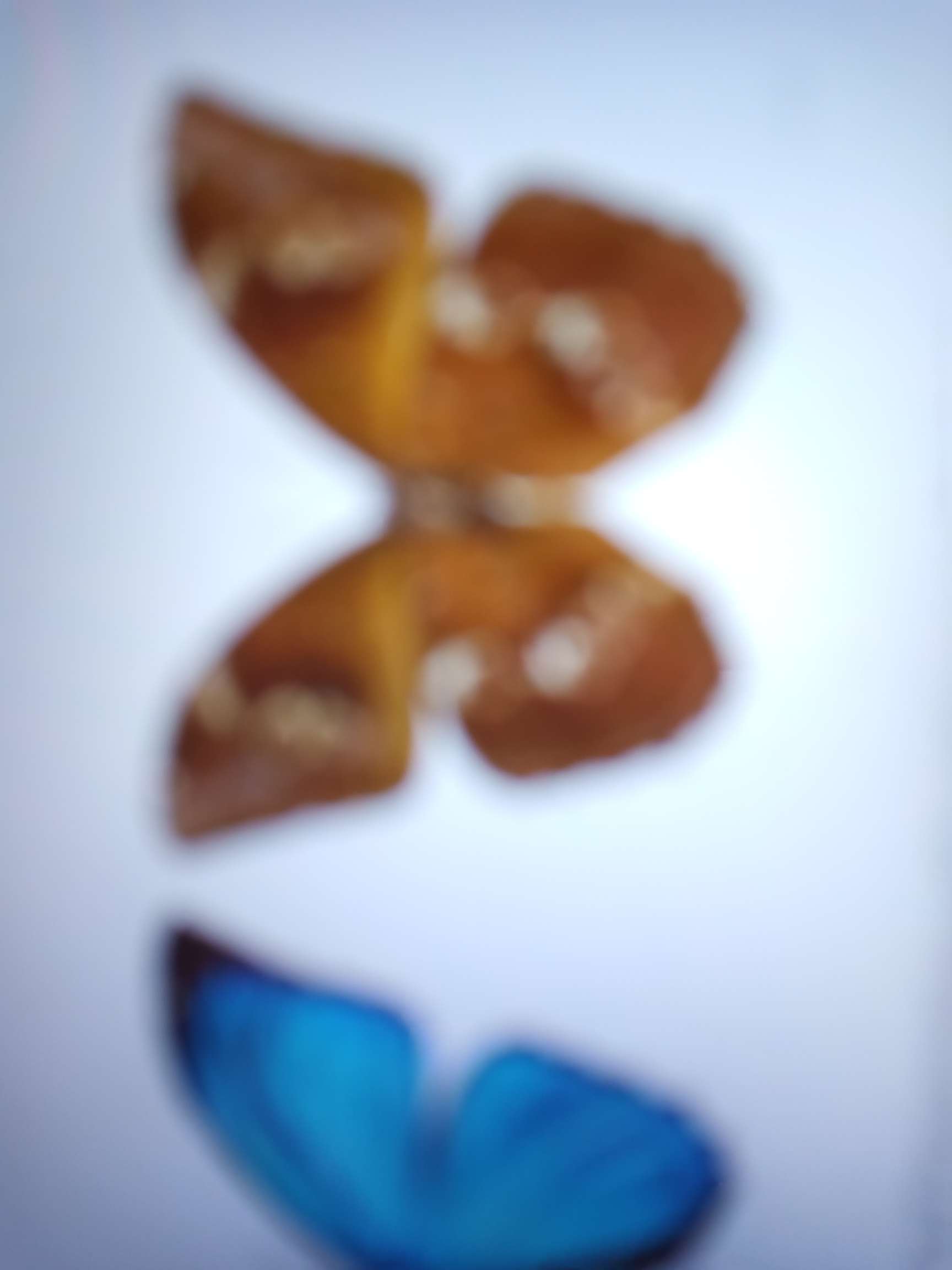 Diana butterfly thumbnail