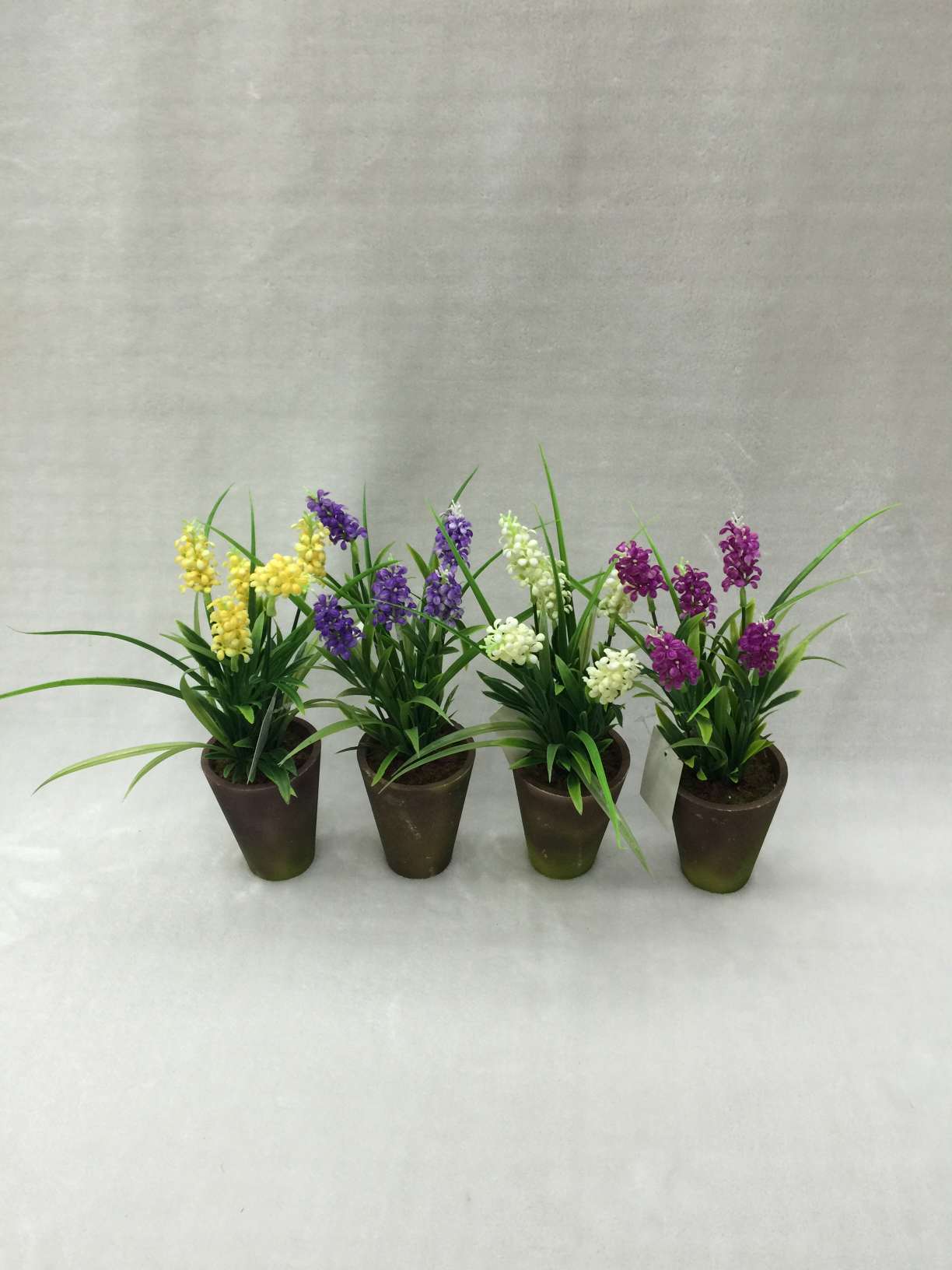 Potted 5 heads of water grass thumbnail