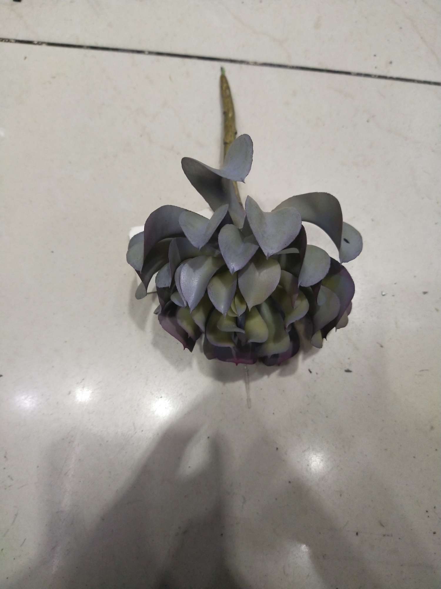 BY－0329 details Picture