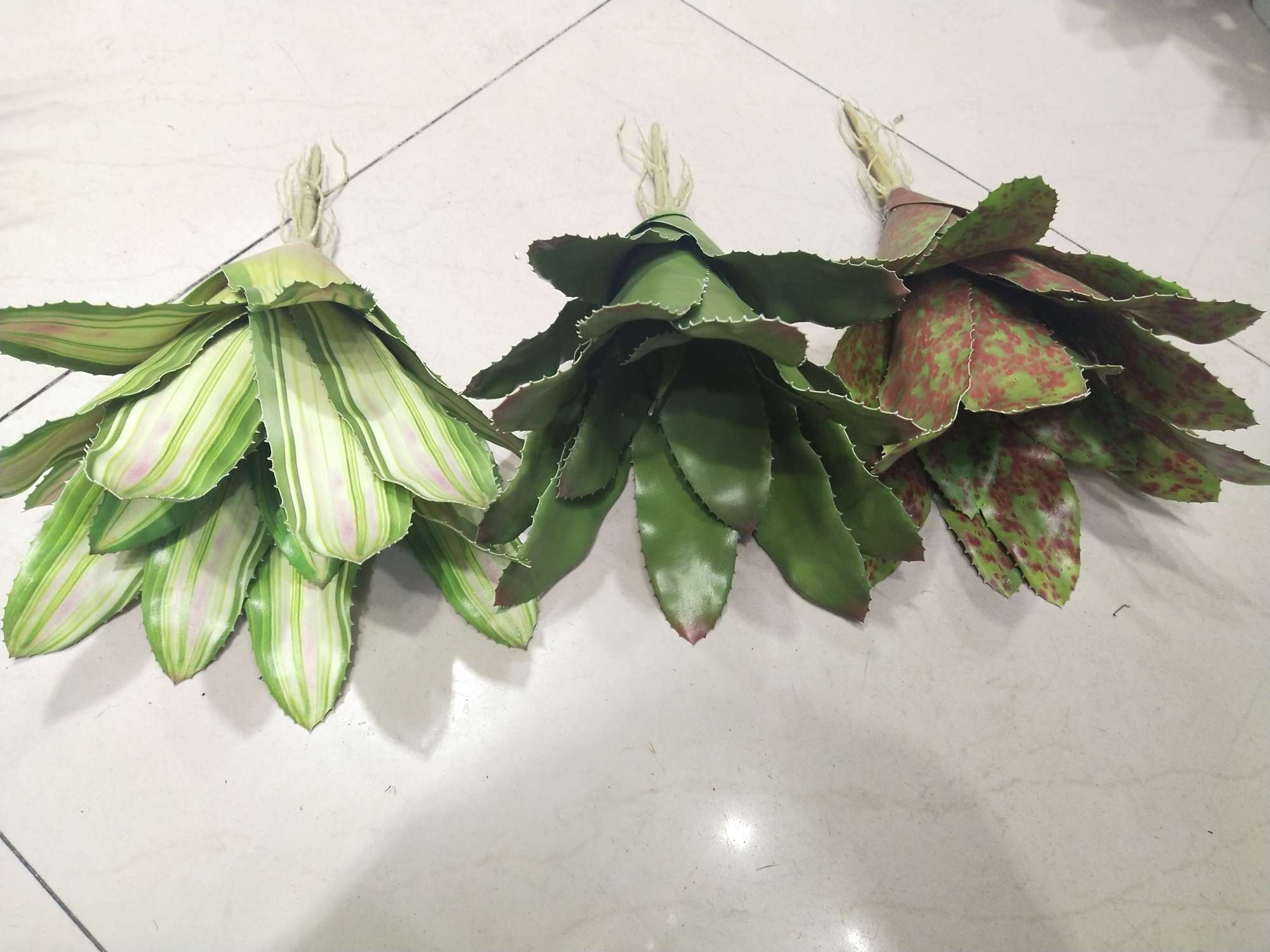 YD180363 Dripping bromeliad thumbnail