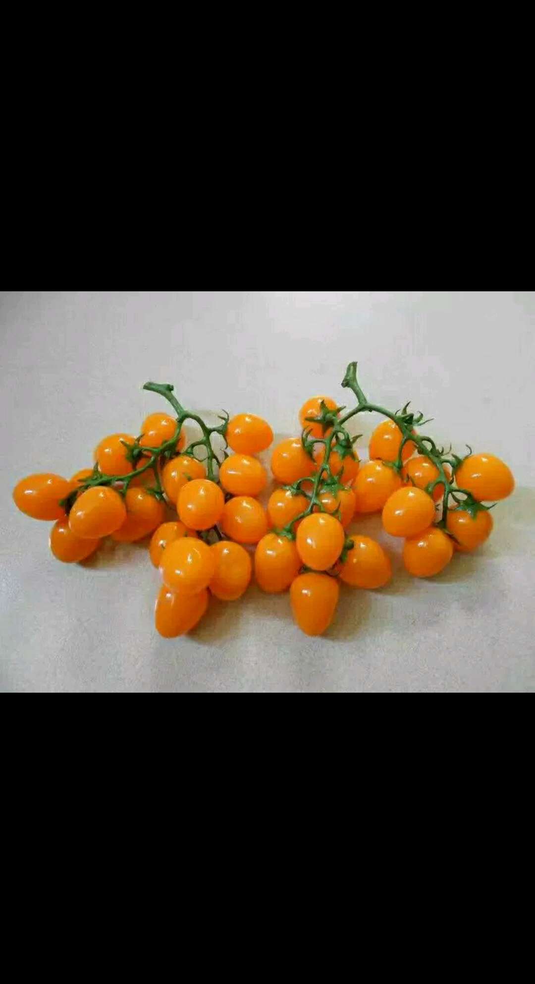 تقليد الفاكهة المقدسة Item Picture