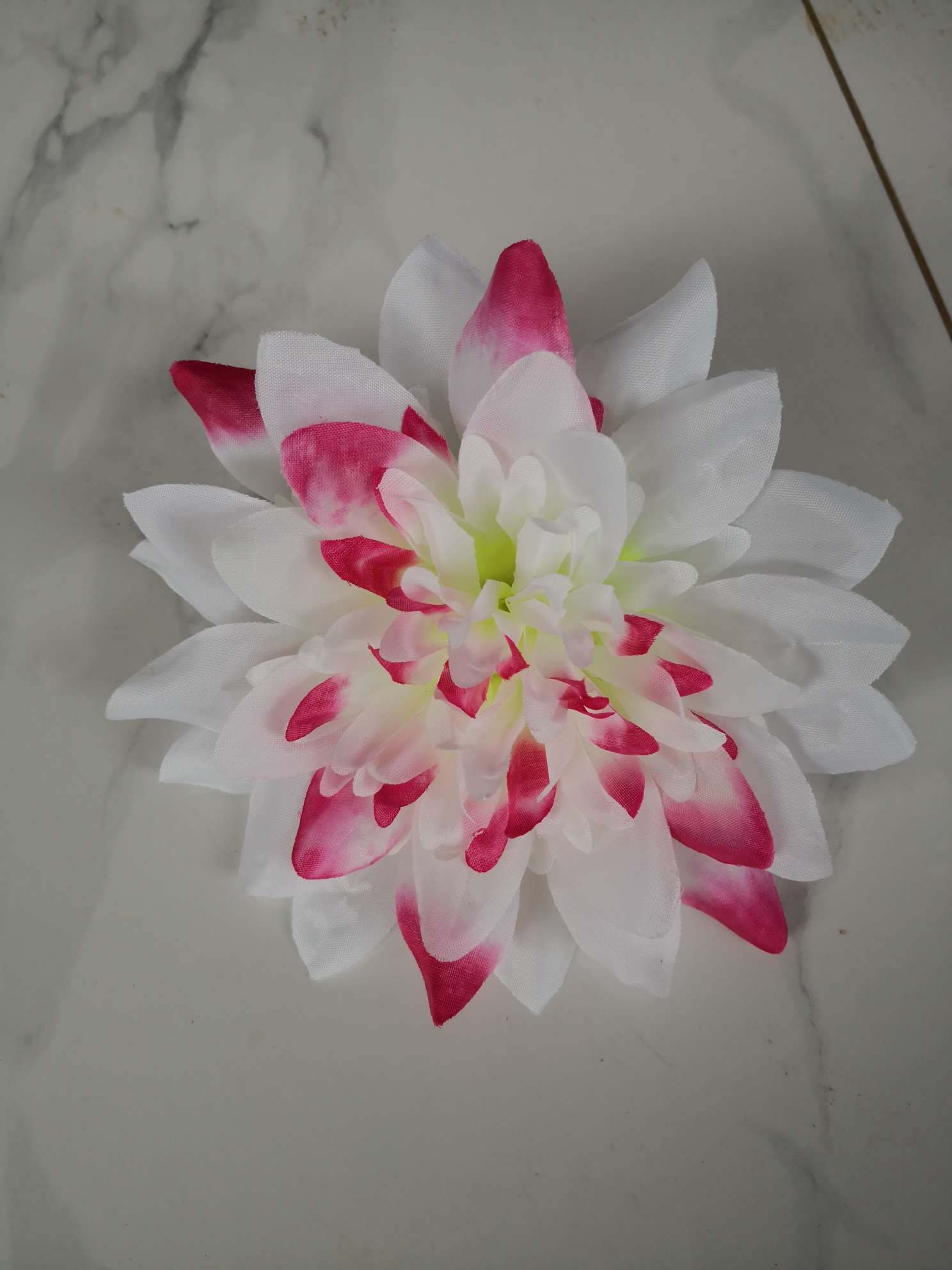 大莲花