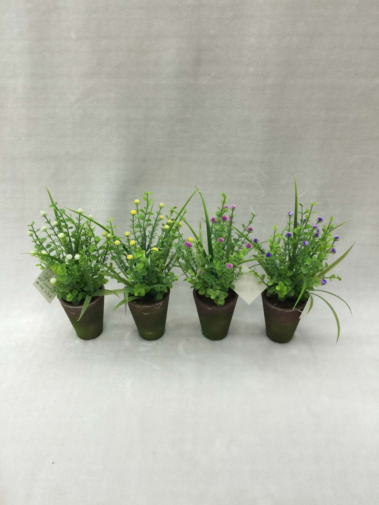 2#Potted grass thumbnail