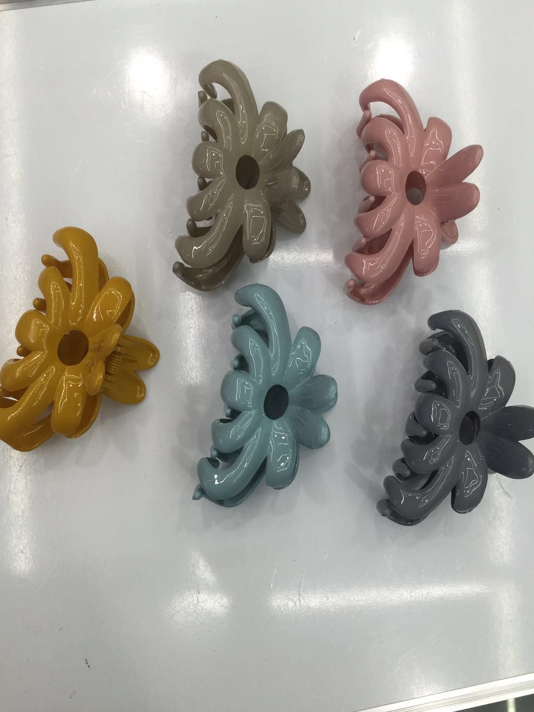 Chrysanthemum claw details Picture