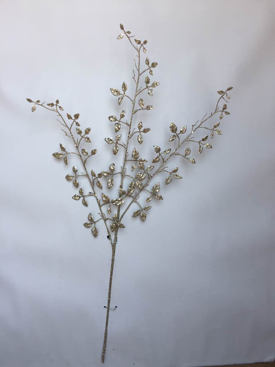 A single three-pronged triloba