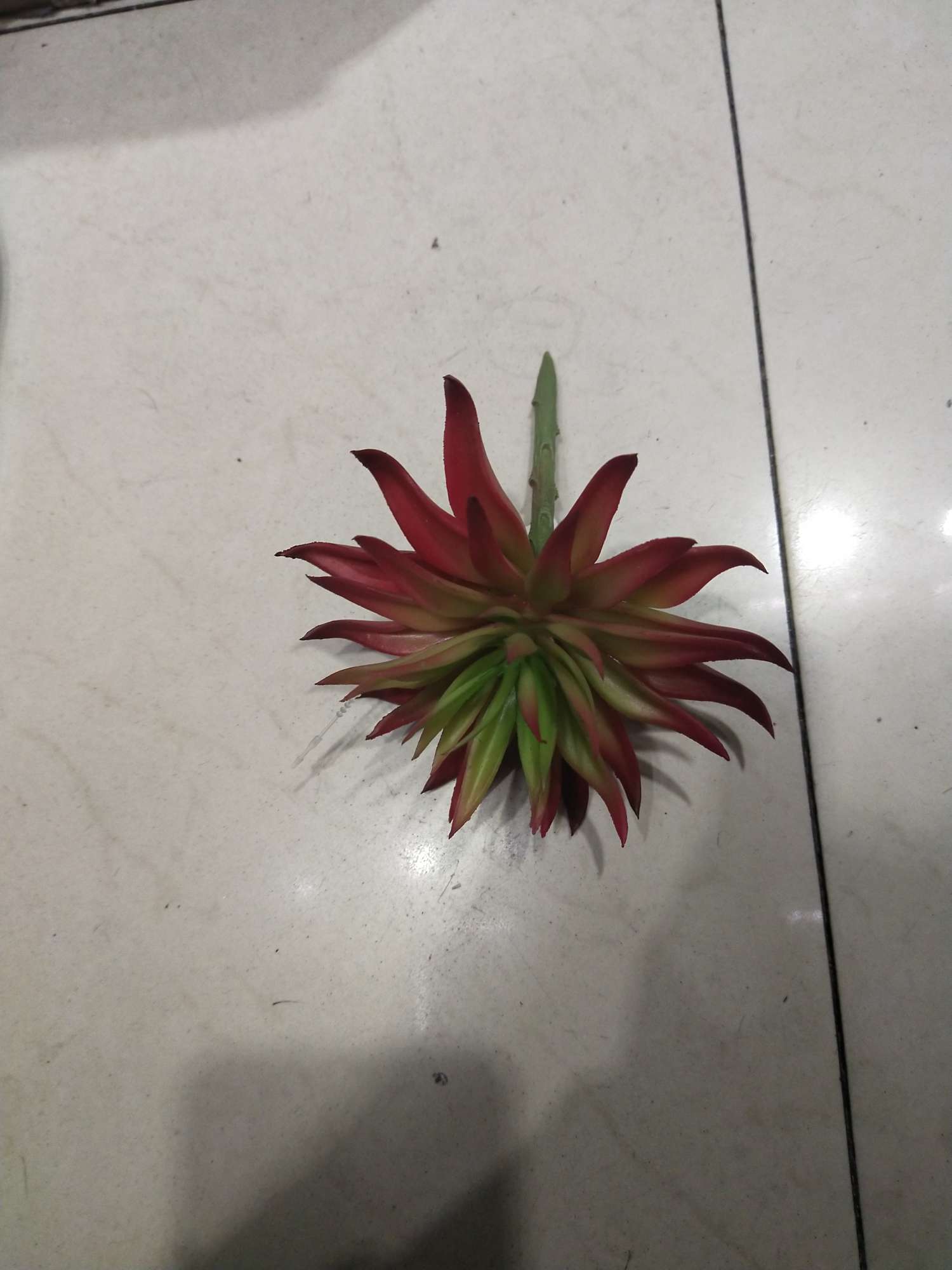 Medium-sized chrysanthemum