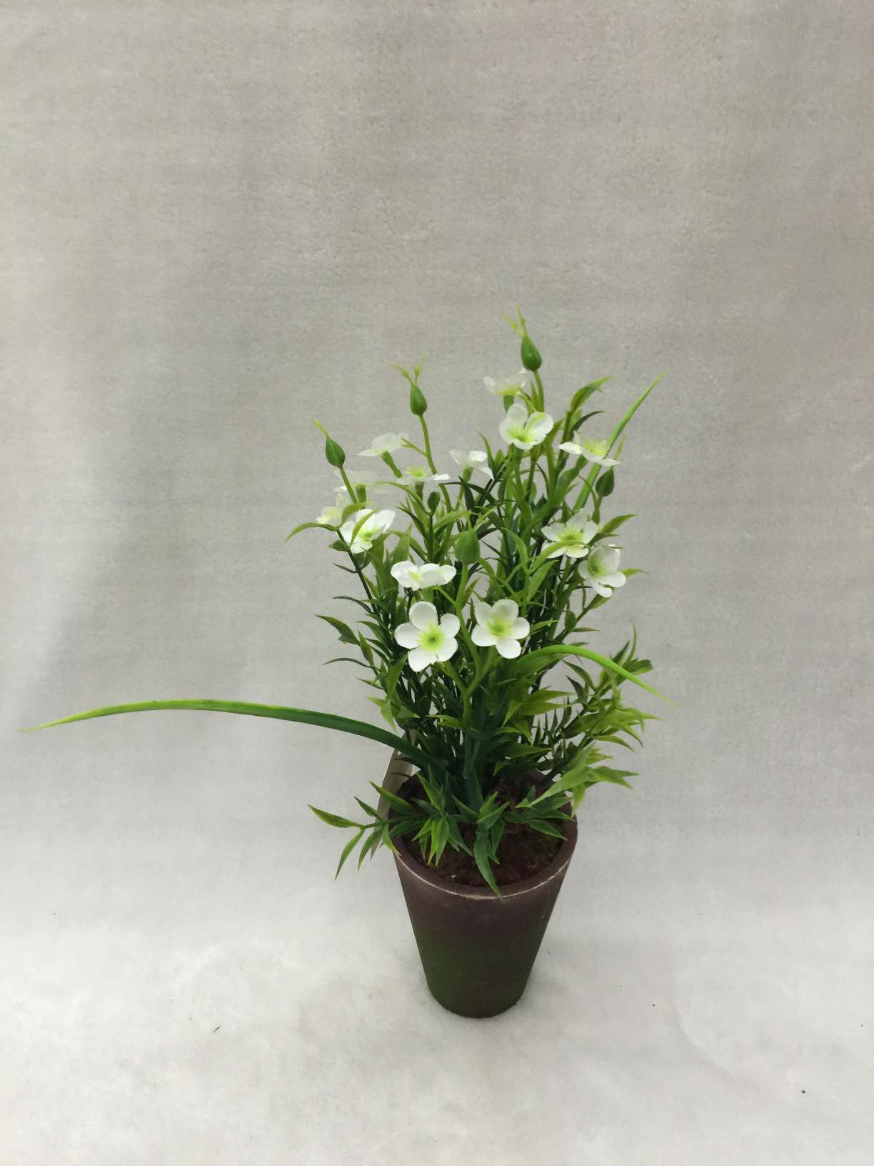Potted pulp basin with 5 head bamboo leaf grass plus step plum blossom thumbnail