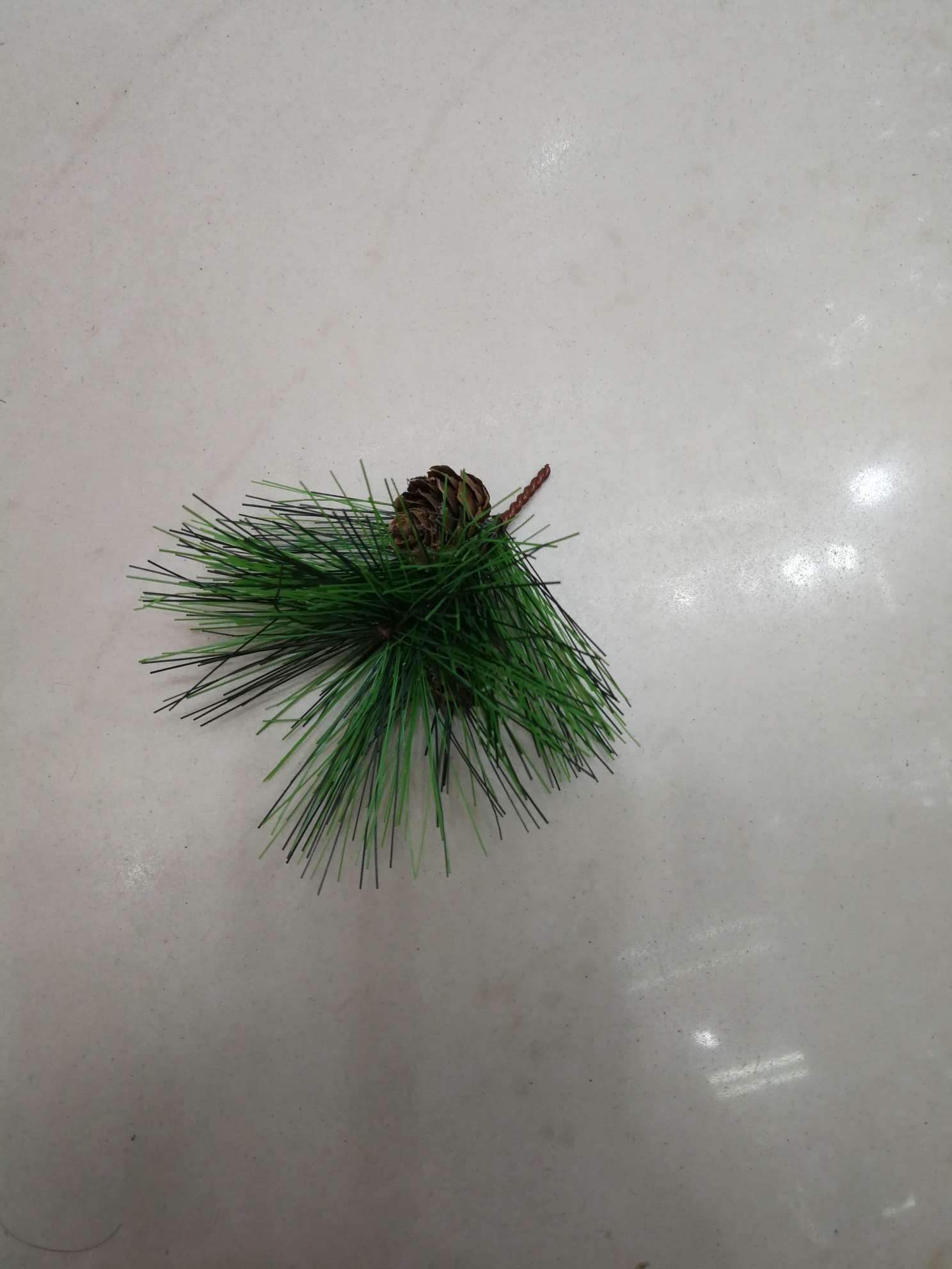 Pine needle