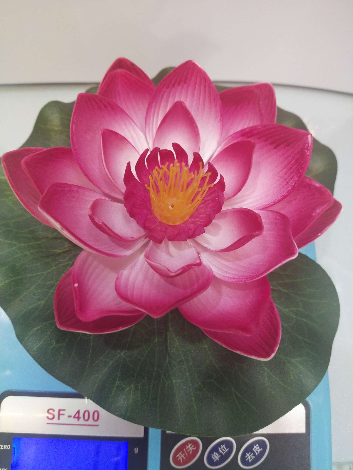 "842 Lotus. details Picture