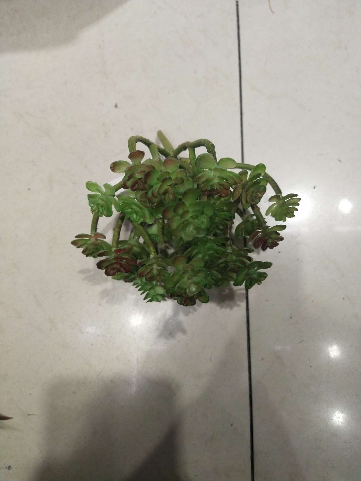 Great Immortal Heart