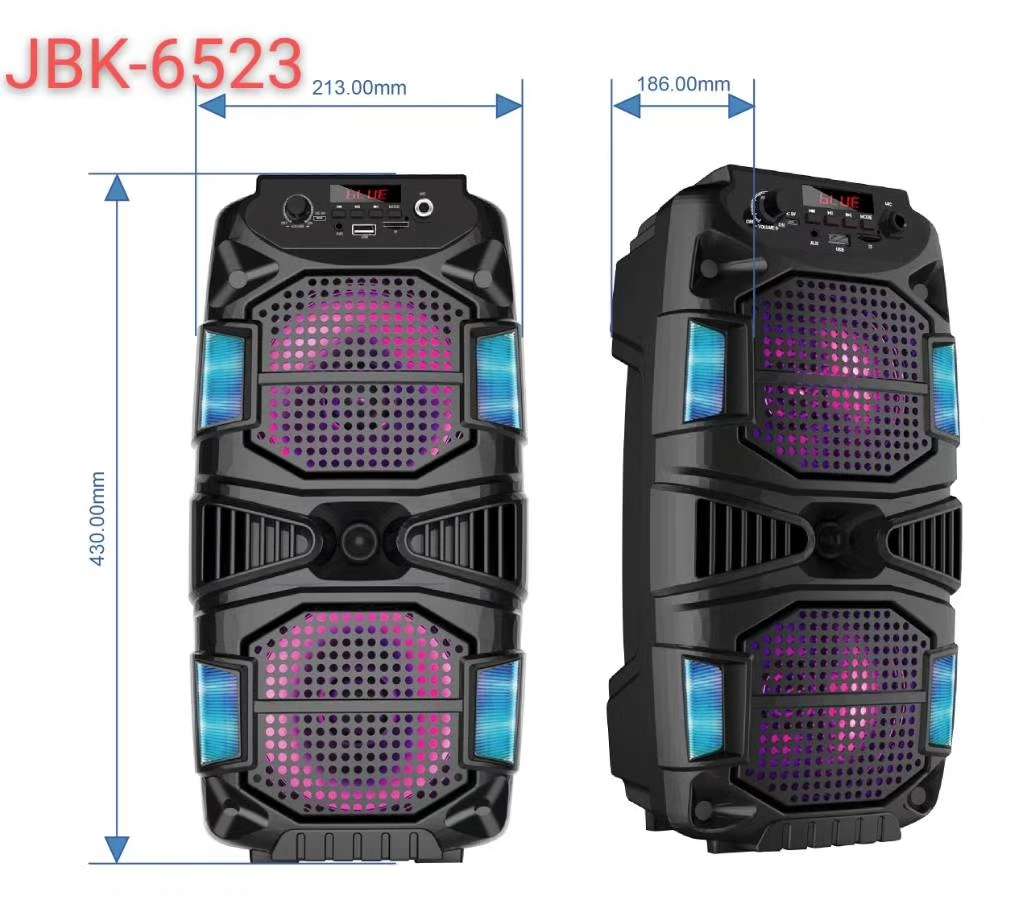 Dual 6-inch speakers details Picture