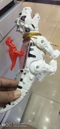 The lion dragon