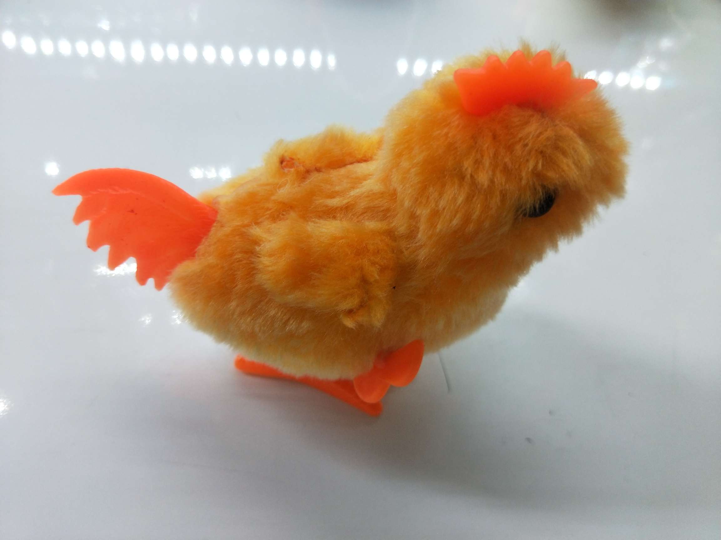 Spring chicken thumbnail