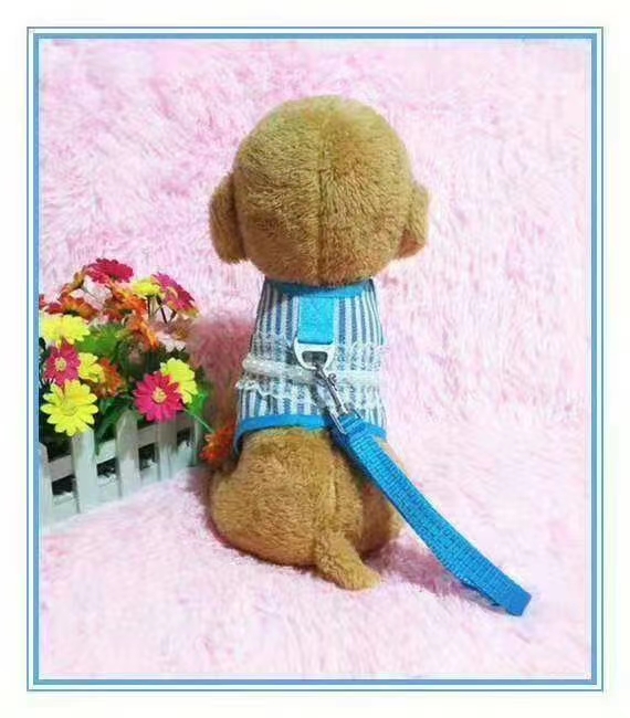 狗狗牵引实物图