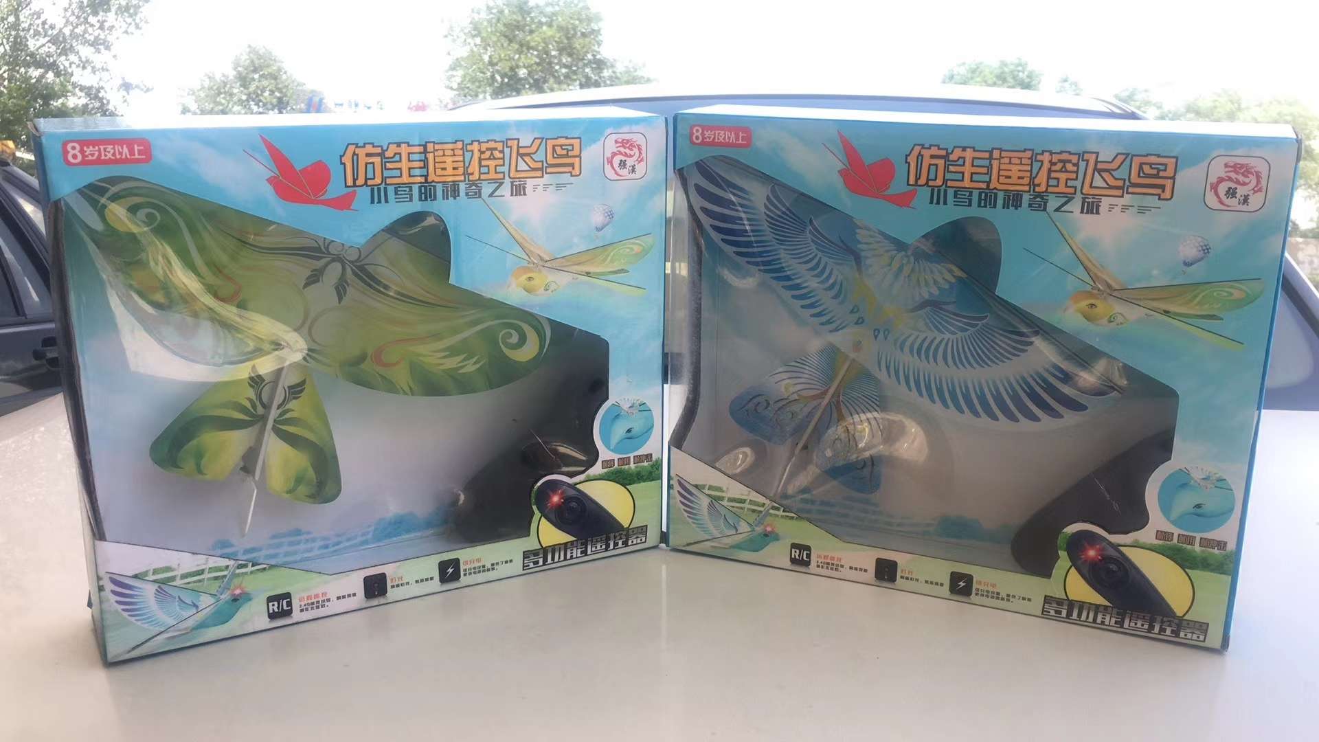 电动飞机电动飞鸟遥控飞机飞鸟百灵鸟
