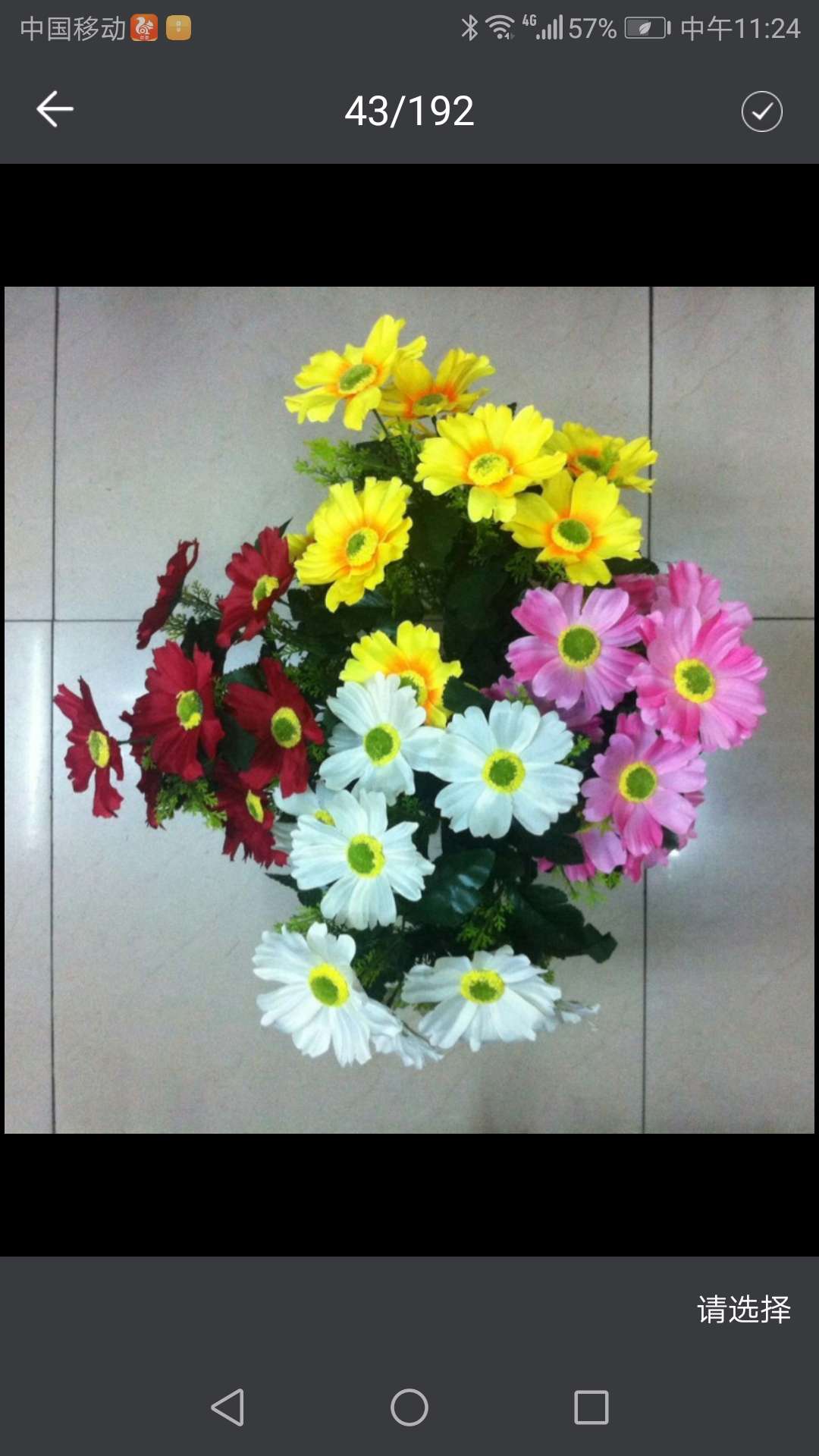 9 Coreopsis, indoor and outdoor decorative flowers thumbnail
