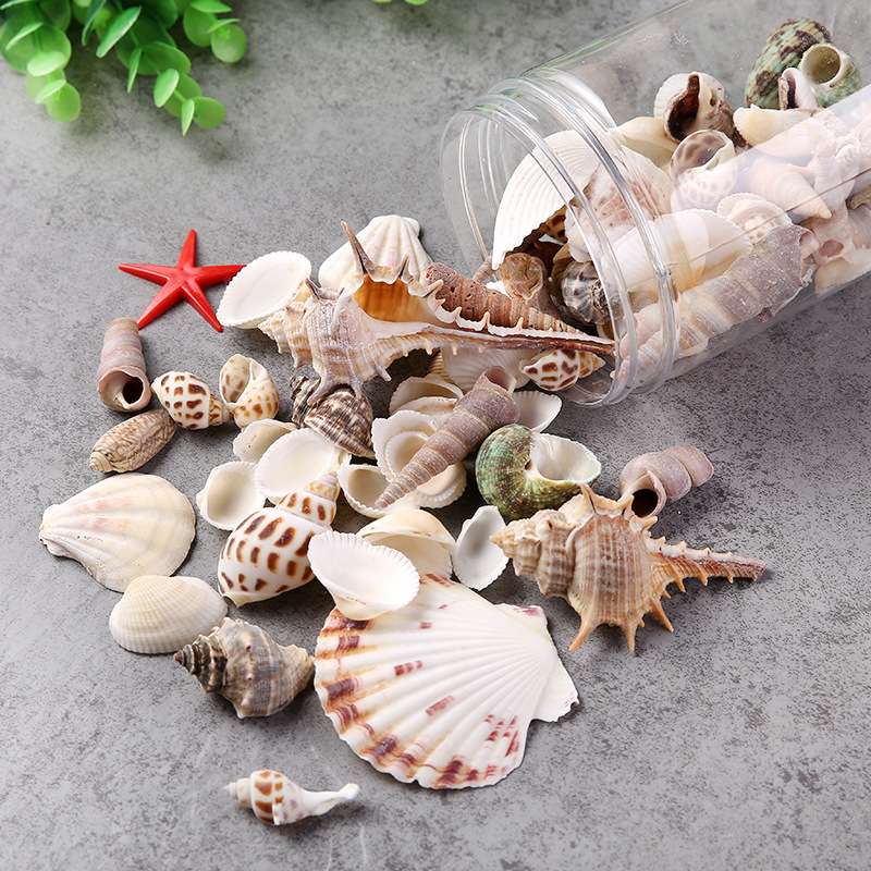 其他形状认知/配对玩具实物图