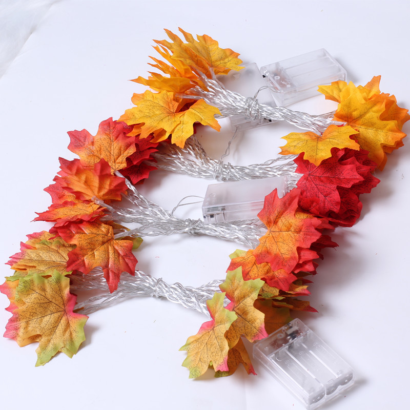 装饰灯/LED灯串/婚庆装饰产品图