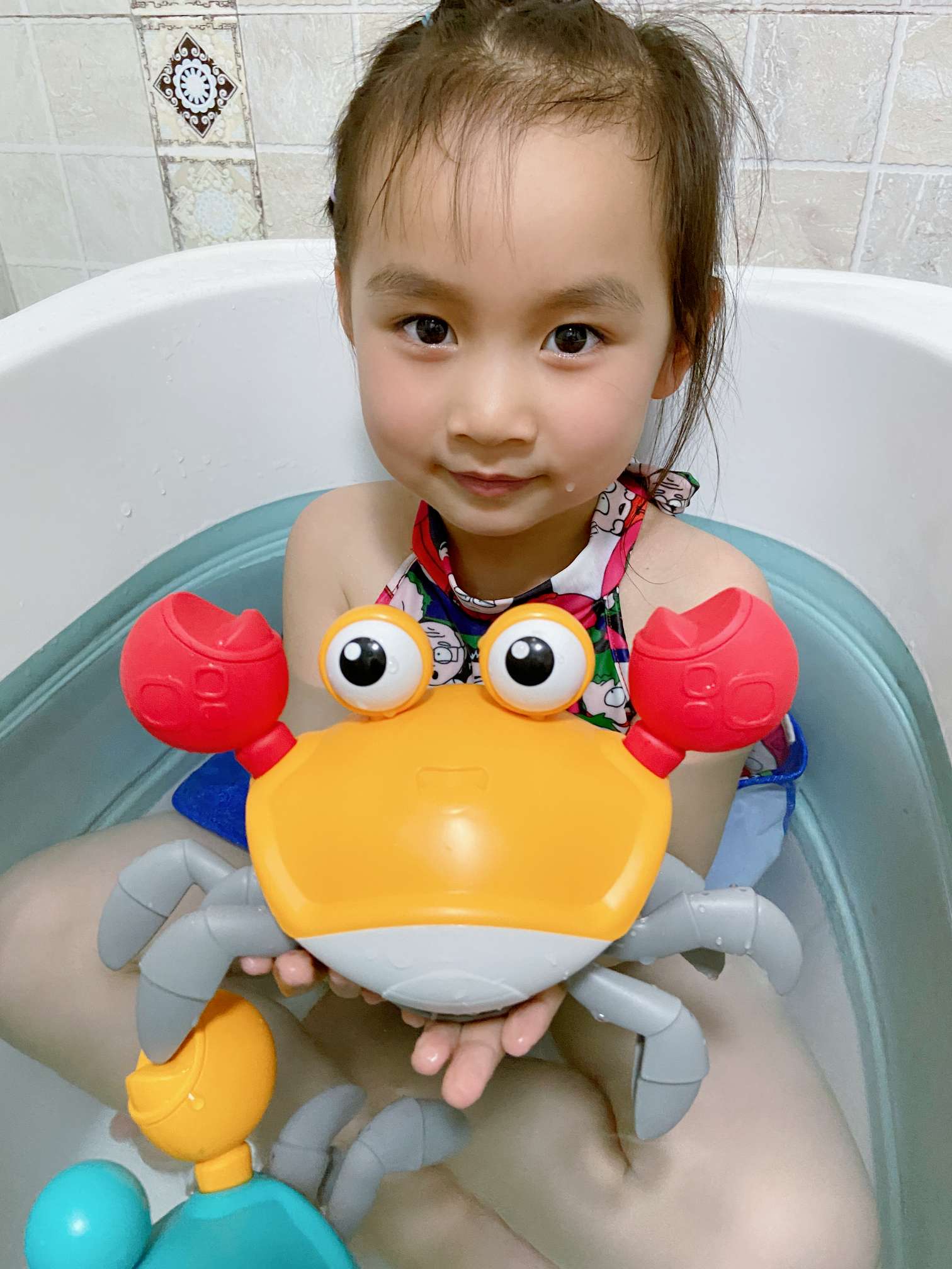 萌趣螃蟹 水陆两用大螃蟹 牵引螃蟹
两色混