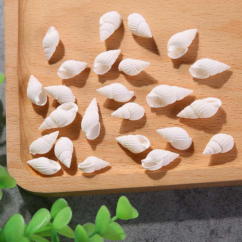 白米螺,鱼缸厂家直销海洋天然白米螺白色海螺贝壳海洋装饰鱼缸水族箱摆件批发,工艺品配件详情图3