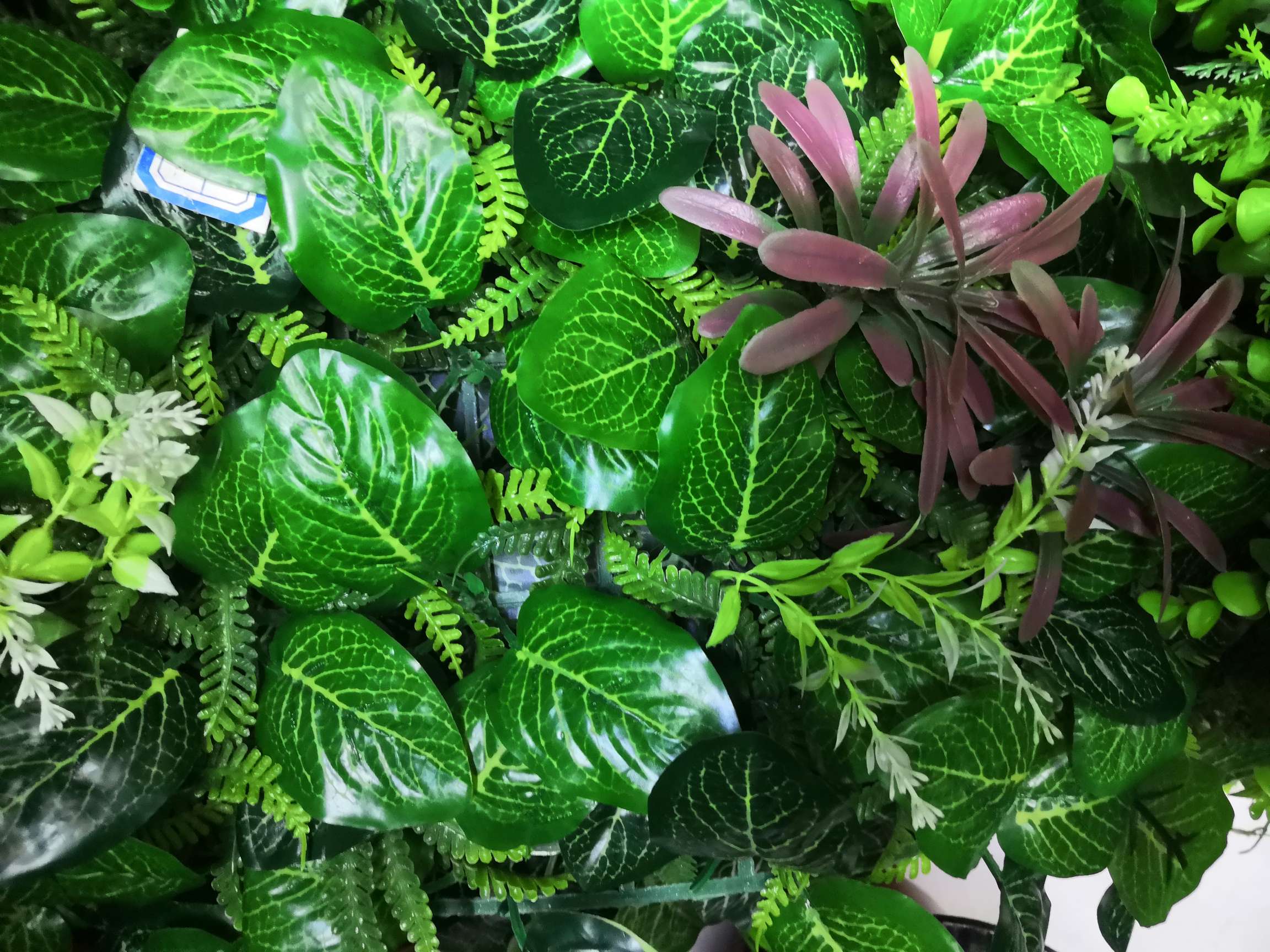 仿真假草坪绿植墙人造草皮阳台花墙面门头装饰塑料花墙背景植物墙，40x60过胶花生叶