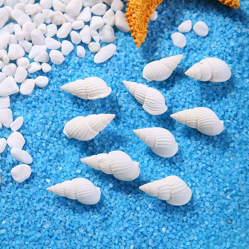 白米螺,鱼缸厂家直销海洋天然白米螺白色海螺贝壳海洋装饰鱼缸水族箱摆件批发,工艺品配件详情图2
