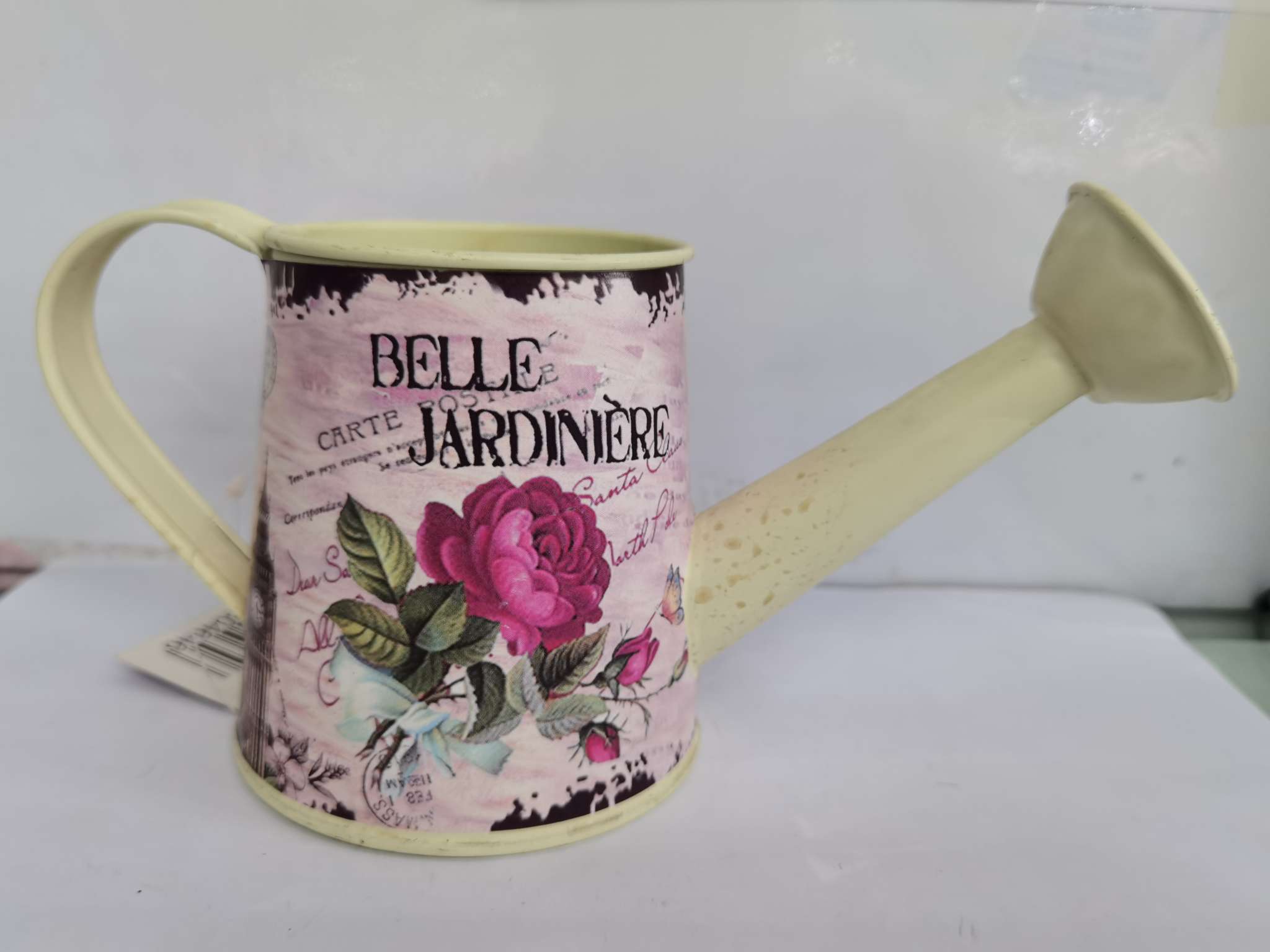 53021铁艺花盆 工艺品  洒水壶