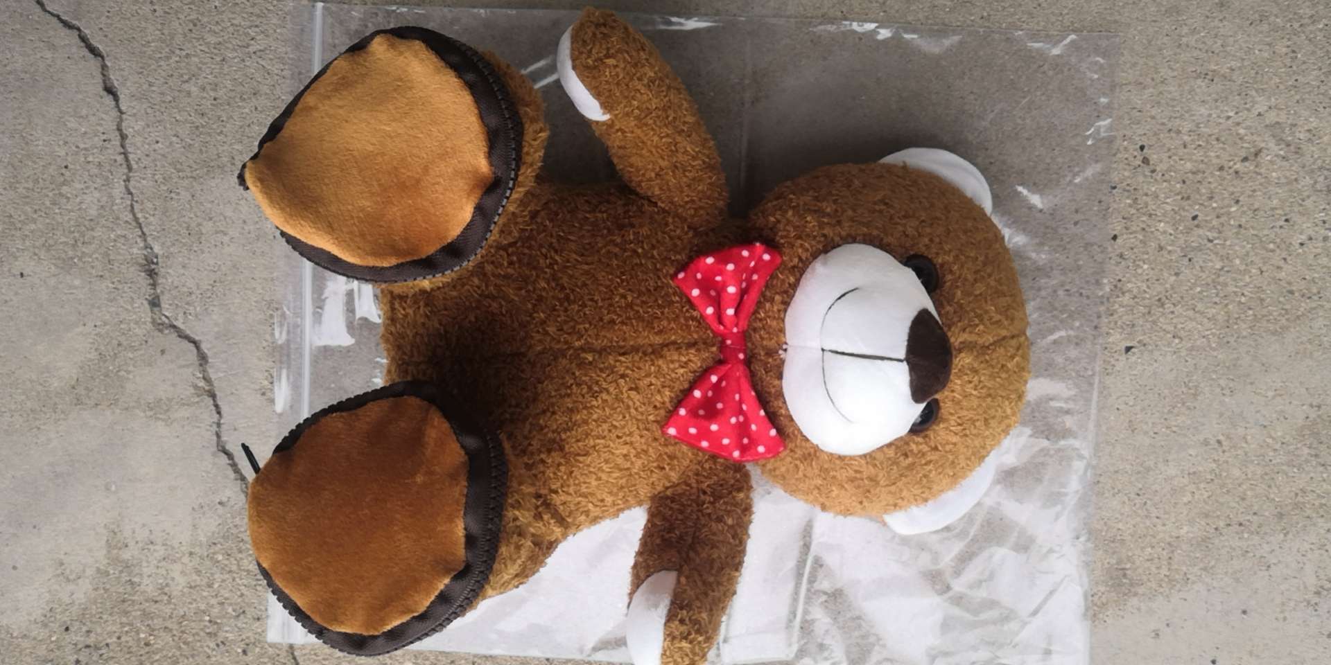Plush custom bear (example, welcome to sample order) thumbnail