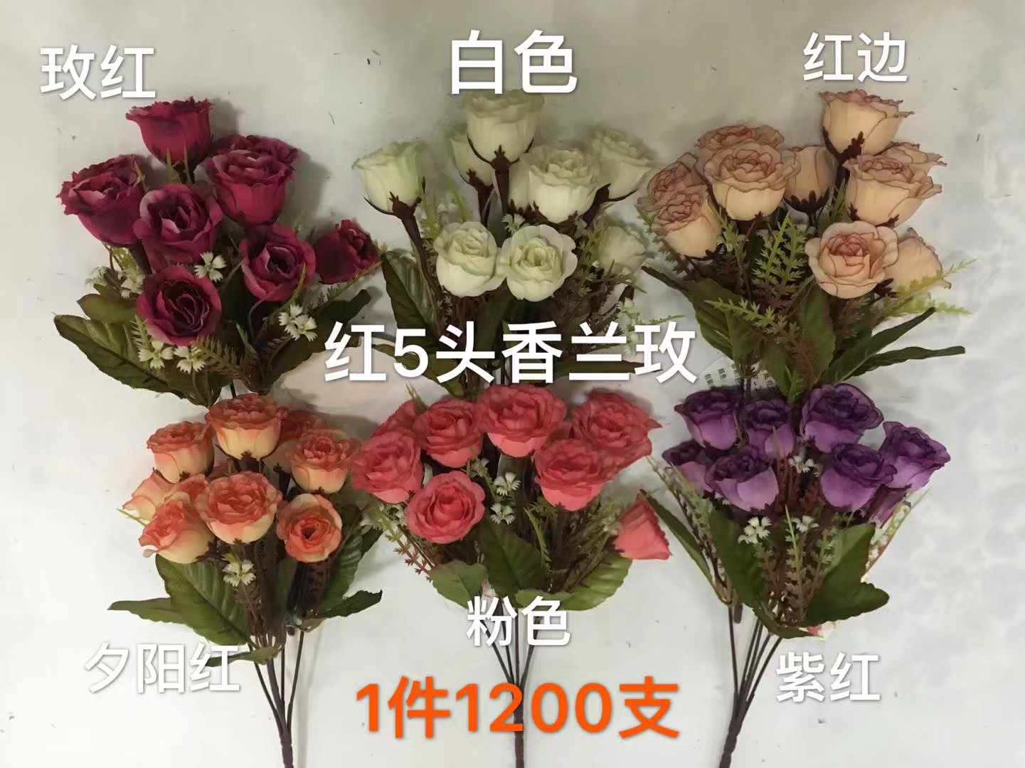 红5头香兰玫
